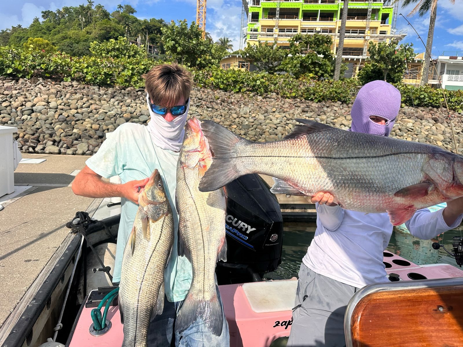 Two adult anglers displaying three large snook