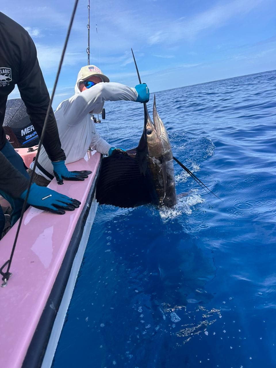 Sailfish beside the Zapata Fishing boat during an offshore trip